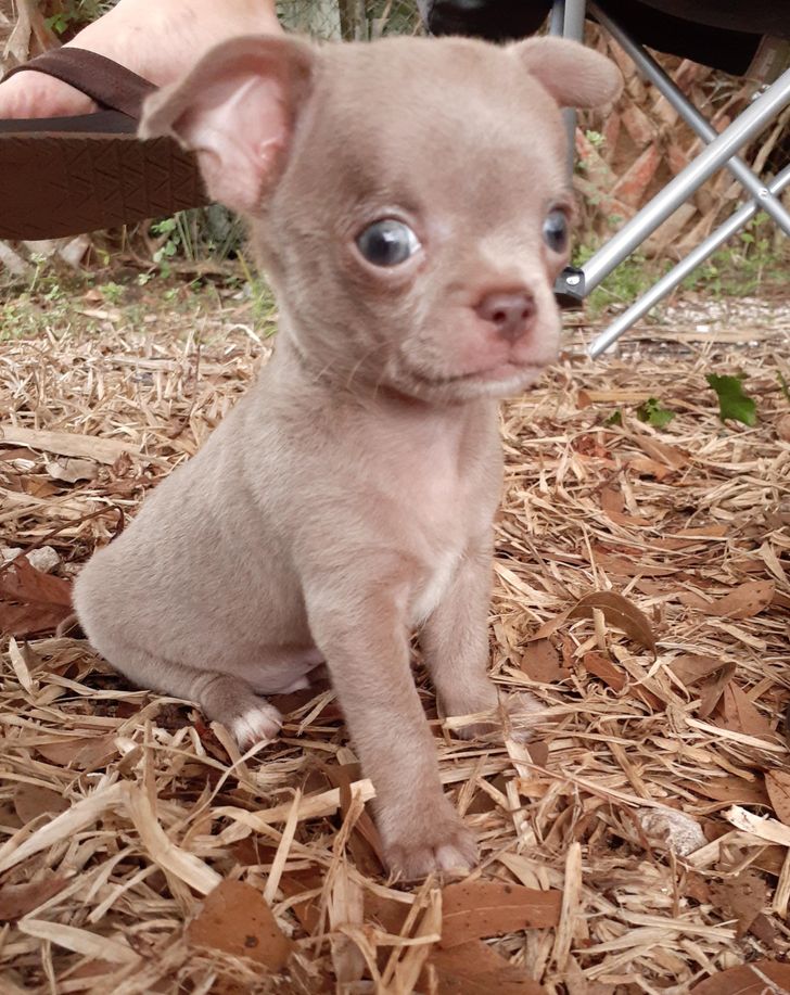 472ed95f26ade33d9a89b54e69