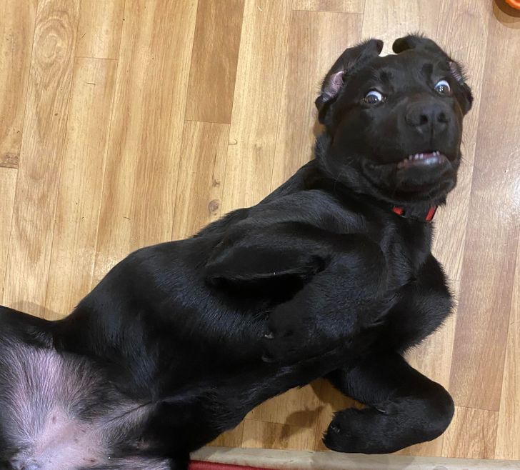 47305d5595b5115e6745d92f36 47305d5595b5115e6745d92f36