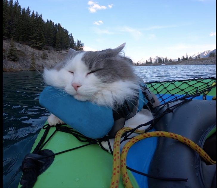 4738b75db0b54a9b440e2f001f