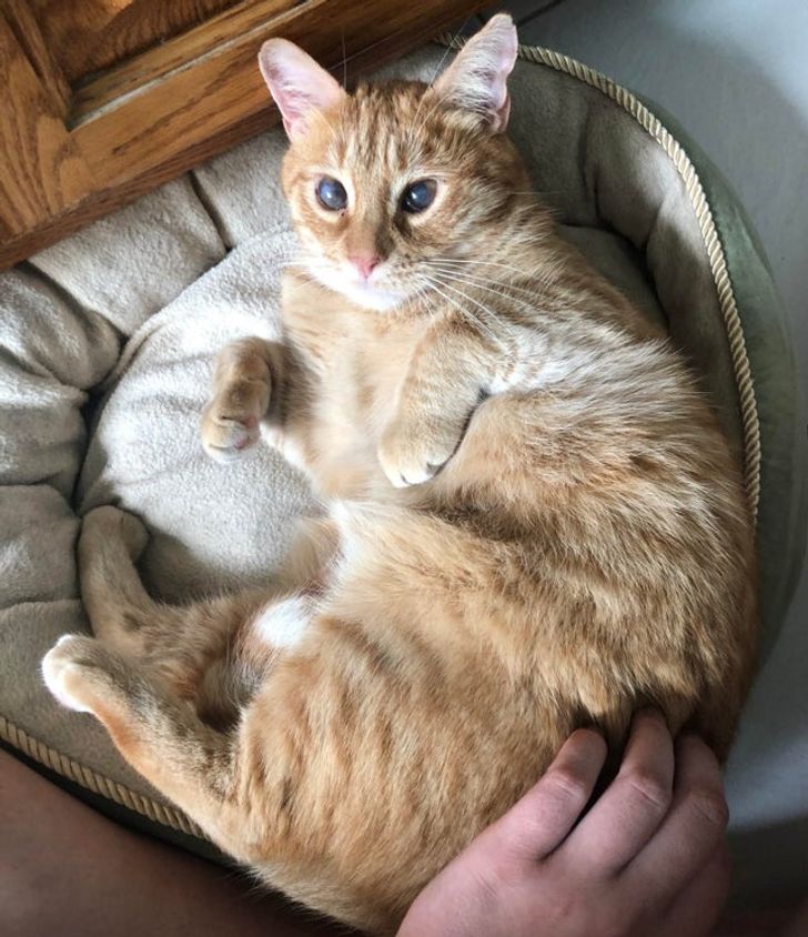 47397a502c816adf4abbcef39f