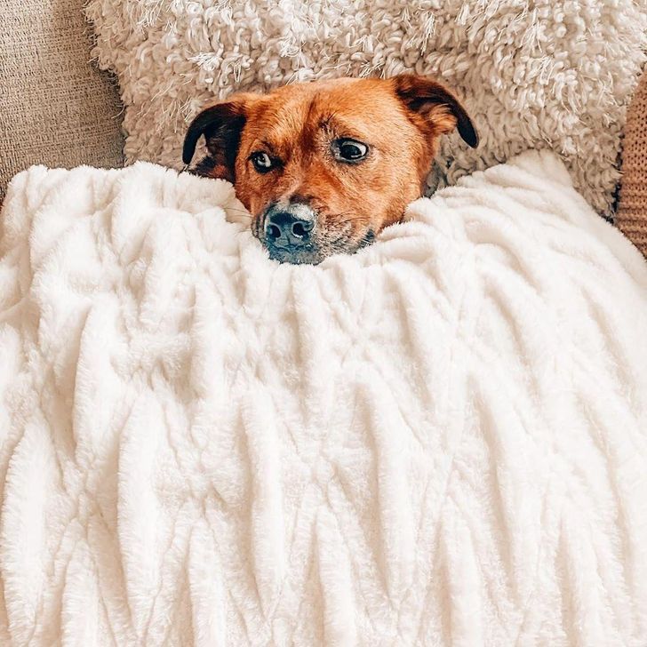 47570b5f7dbf5d29283b318124