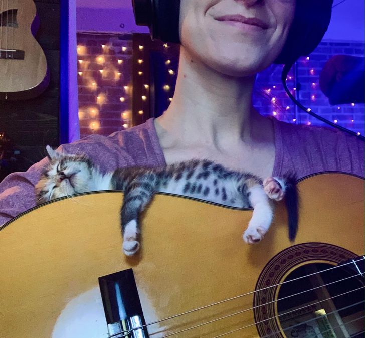 475ba850fe938df65833eaa587