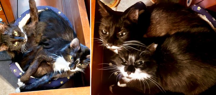 4760375a91b80c65f132f0dcf6