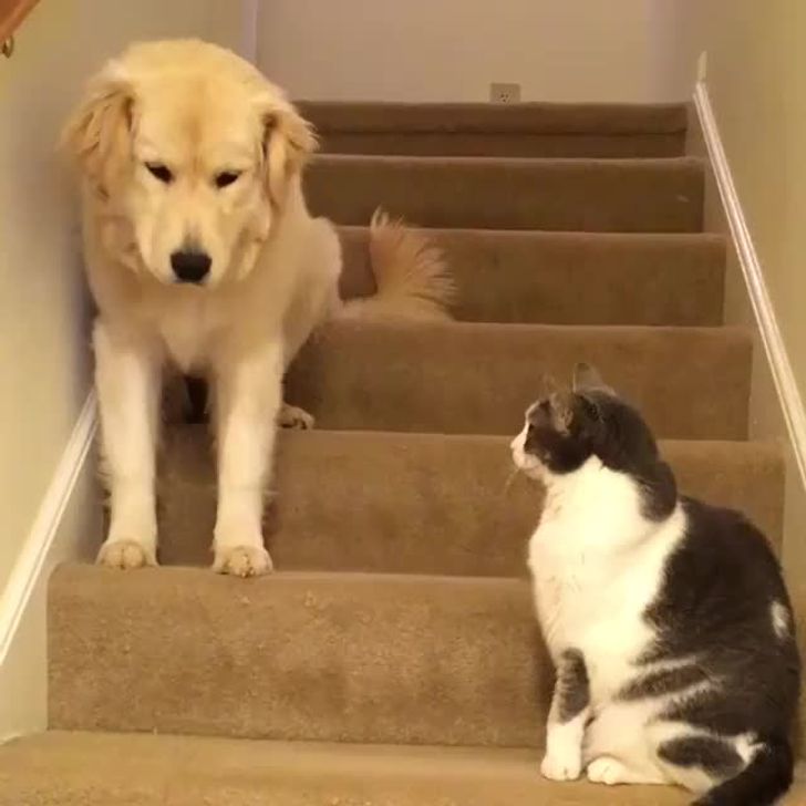 47658156359b51d27a7aaea3b8