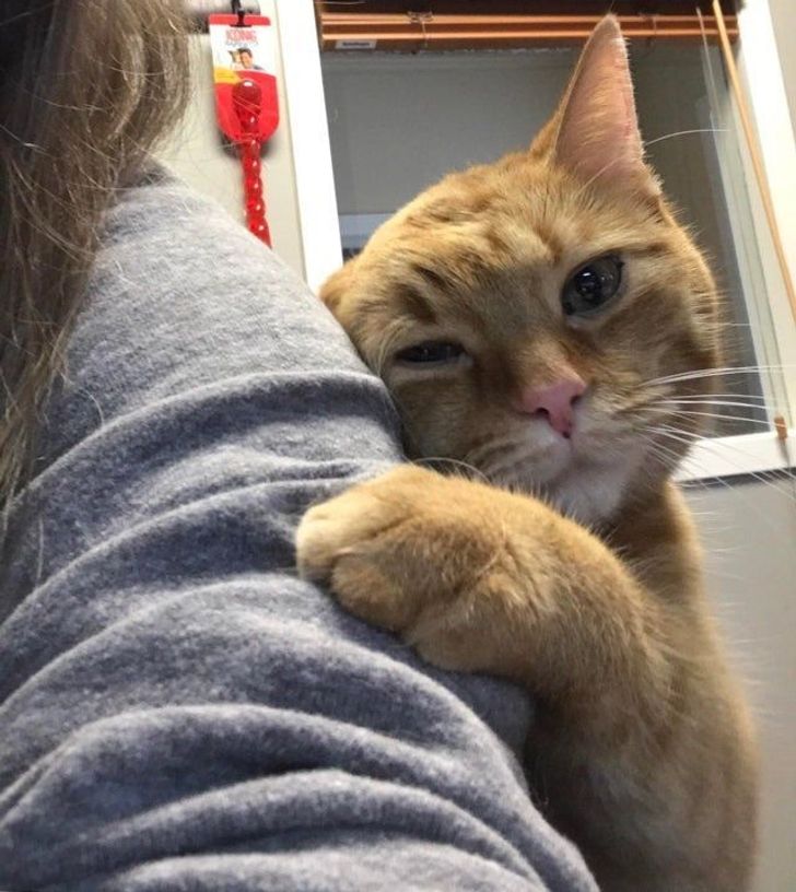 4766dc536e9ab7719710e2be6c