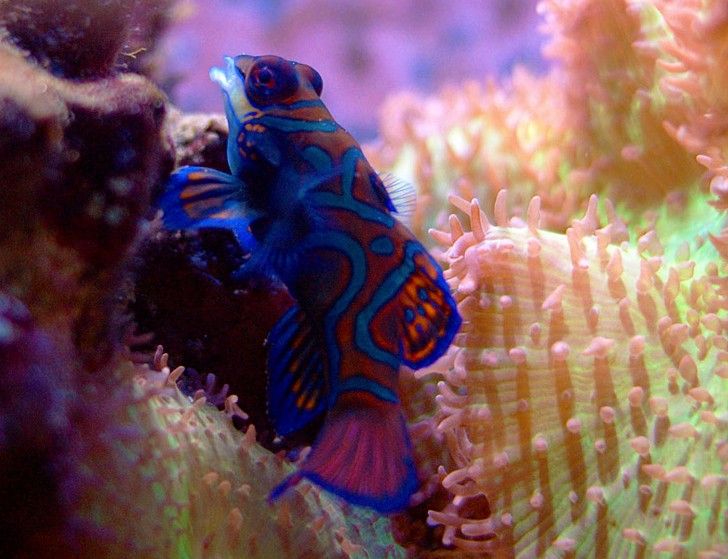 4766df57288b3e8dc36a4cb853