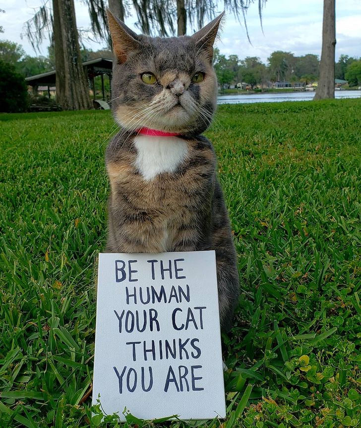 476df0568ba6fd8412e54c88d0