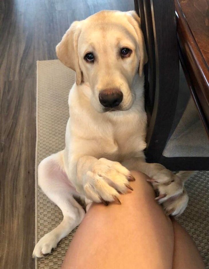 47715b555f81ae599000d8f565