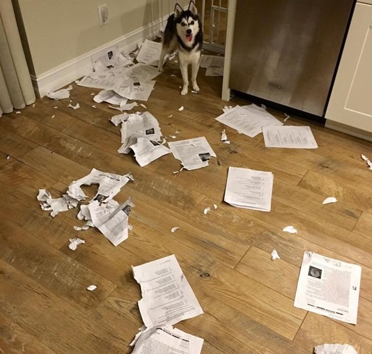 477204573d804e34c9abc8666e