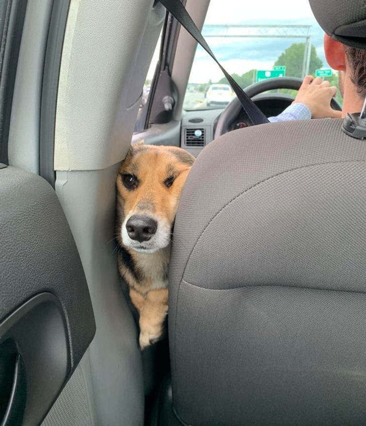 47746455d3ac2f03878069b55c