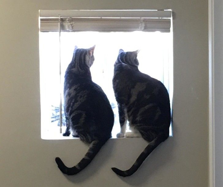 477b305077993fc2fd16262087