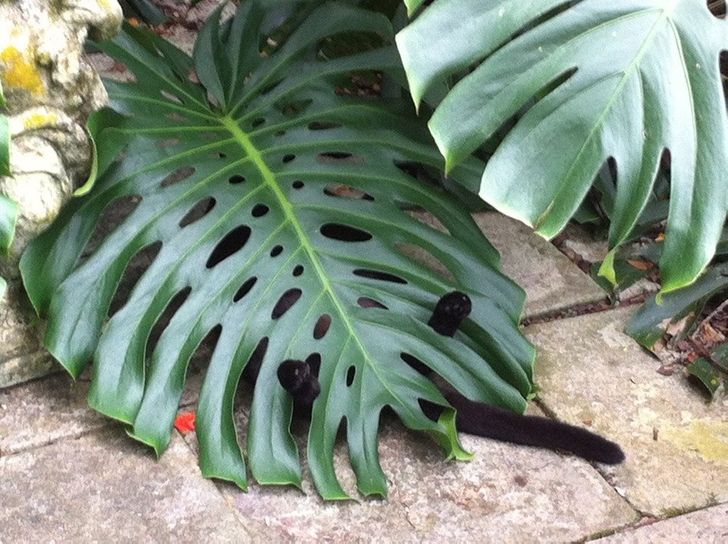 4782375845b31128e1aba87482