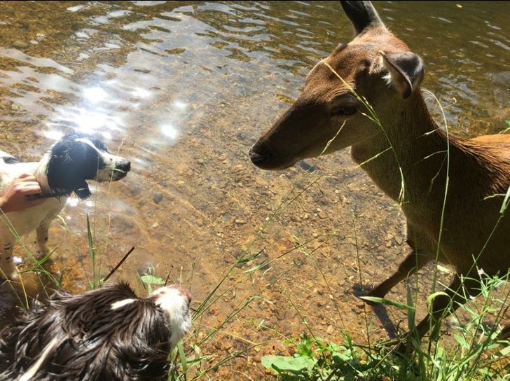 4787f75b6e8ee8e4f1fab3f238