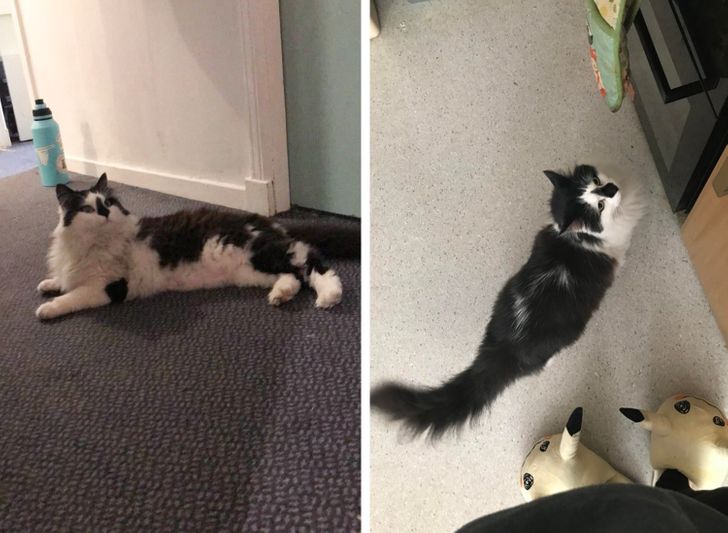 479ac3591e9efa8afcdaf8dc56 479ac3591e9efa8afcdaf8dc56