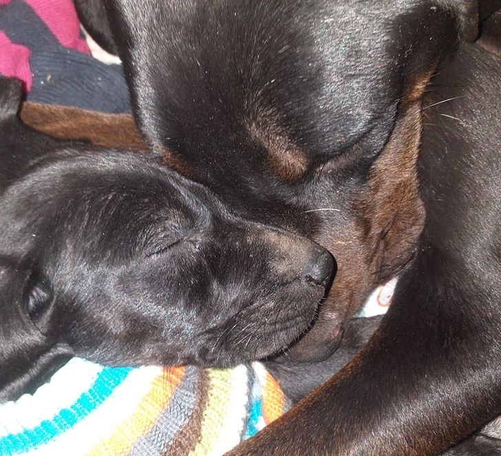 479bf85be9b2b88ba2d20fbdf7