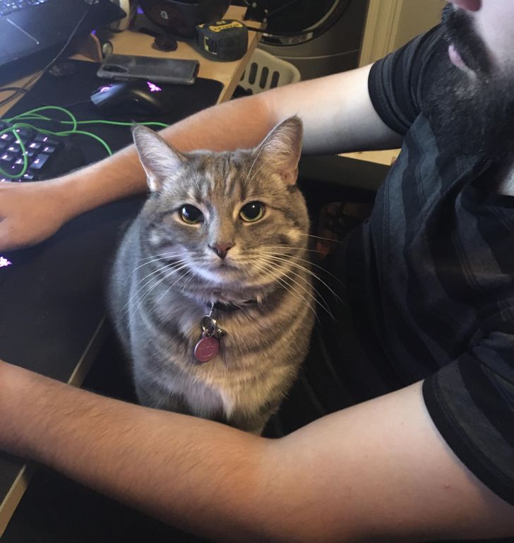 47a0b95a9d8d929b28ac89784b 47a0b95a9d8d929b28ac89784b