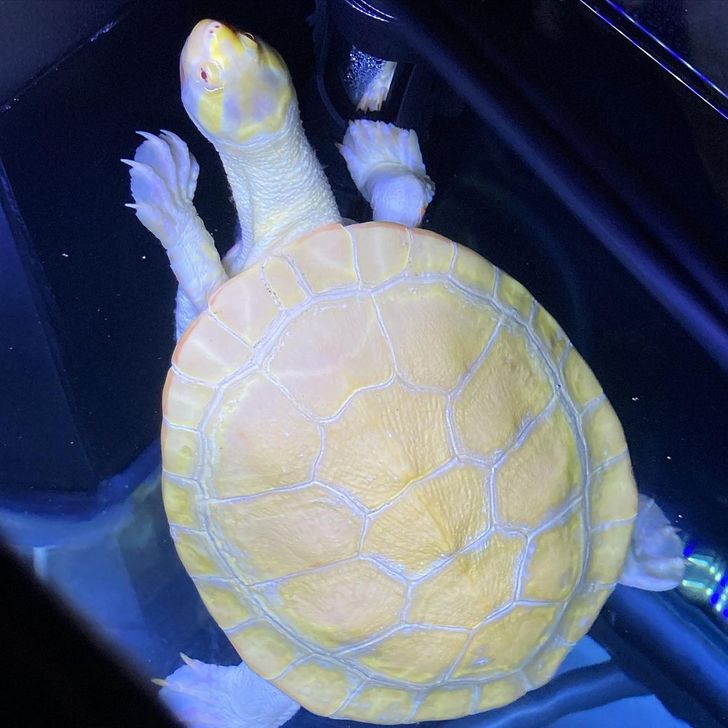 47a12f50dda7ae444a575fb685