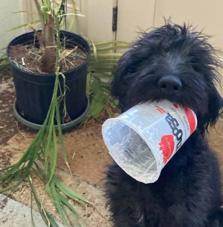 47a19759899e85c394169a6622 47a19759899e85c394169a6622