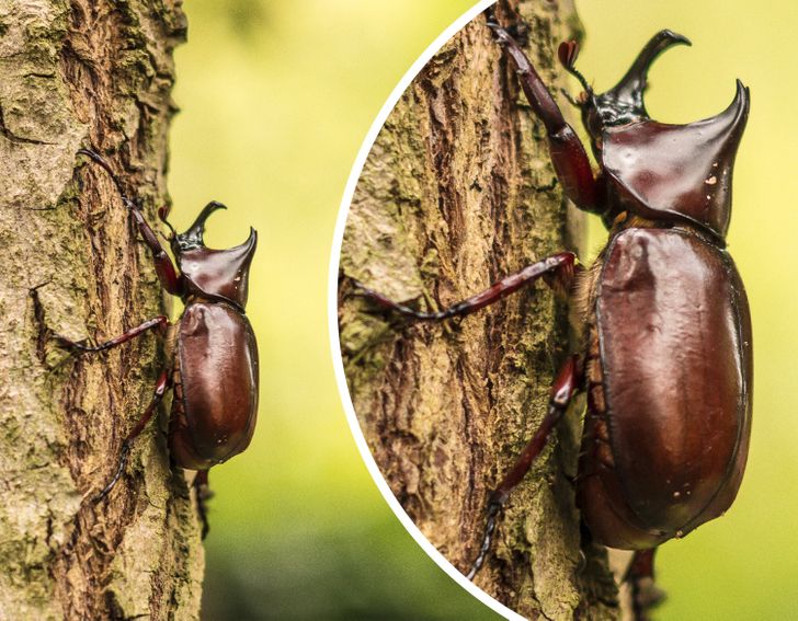 47a2c554fd836f9b6e8e52482f