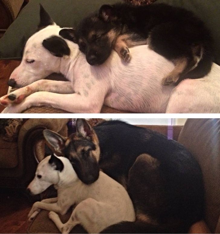 47a4b8558781a2e4c0549443b0