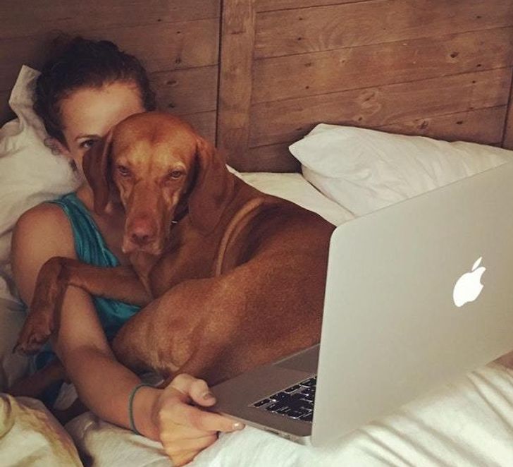 47a6f852e3899cae10f84b8905