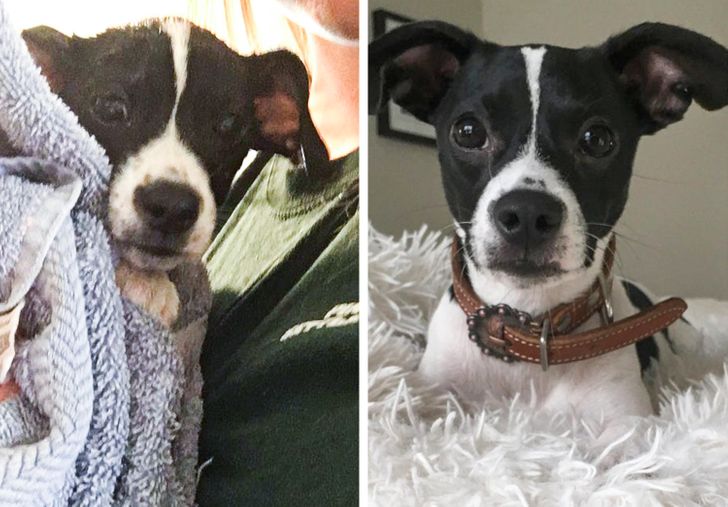 47a907573dbebc254649bc7f7d