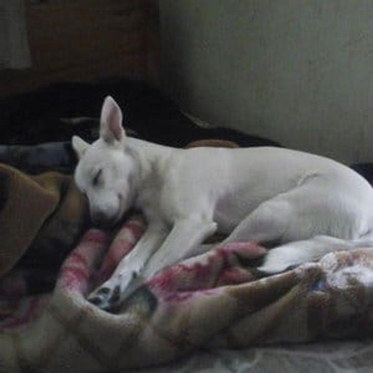 47b127500d97e034d402a9a47a