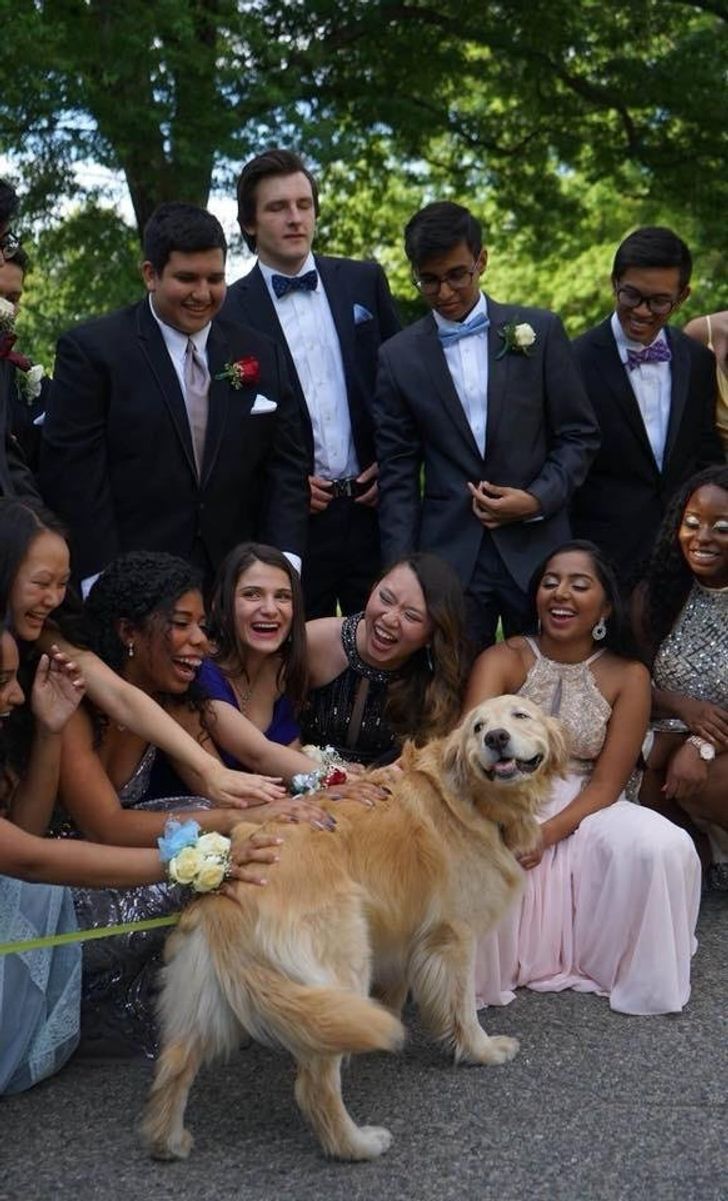 47b5145afa99c60a07b7e1b2ad 47b5145afa99c60a07b7e1b2ad