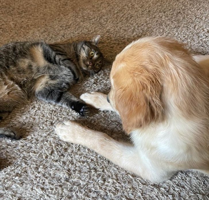 47b9d05309b0a38b25c5cbbaf6 47b9d05309b0a38b25c5cbbaf6