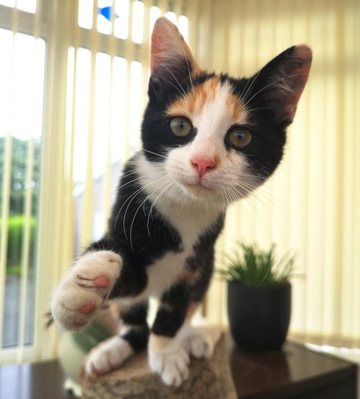 47be9653a6a949899ce6de080f