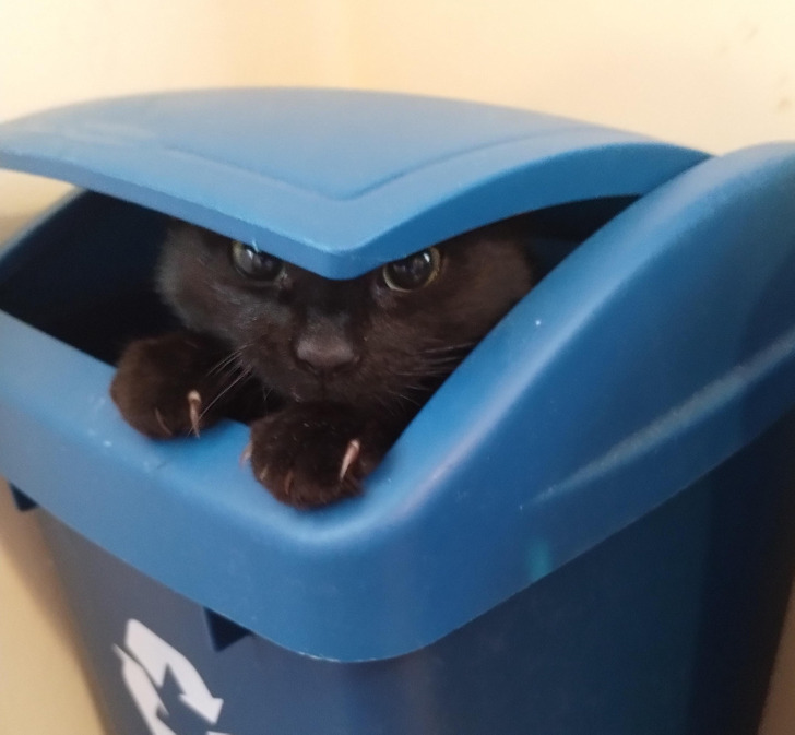 47bfcd54089187e6fb033f6c3b