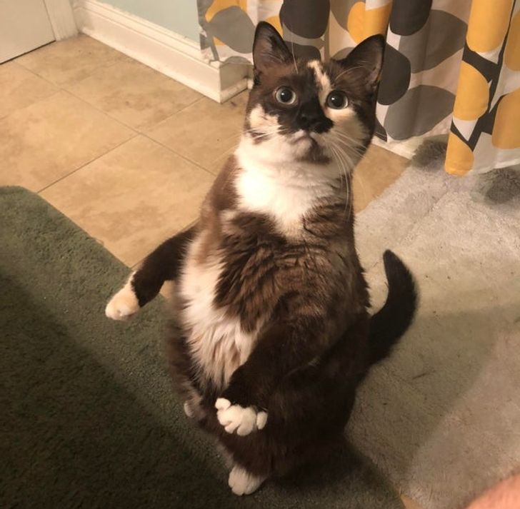 47c9ad52c9bf37100b77507df1