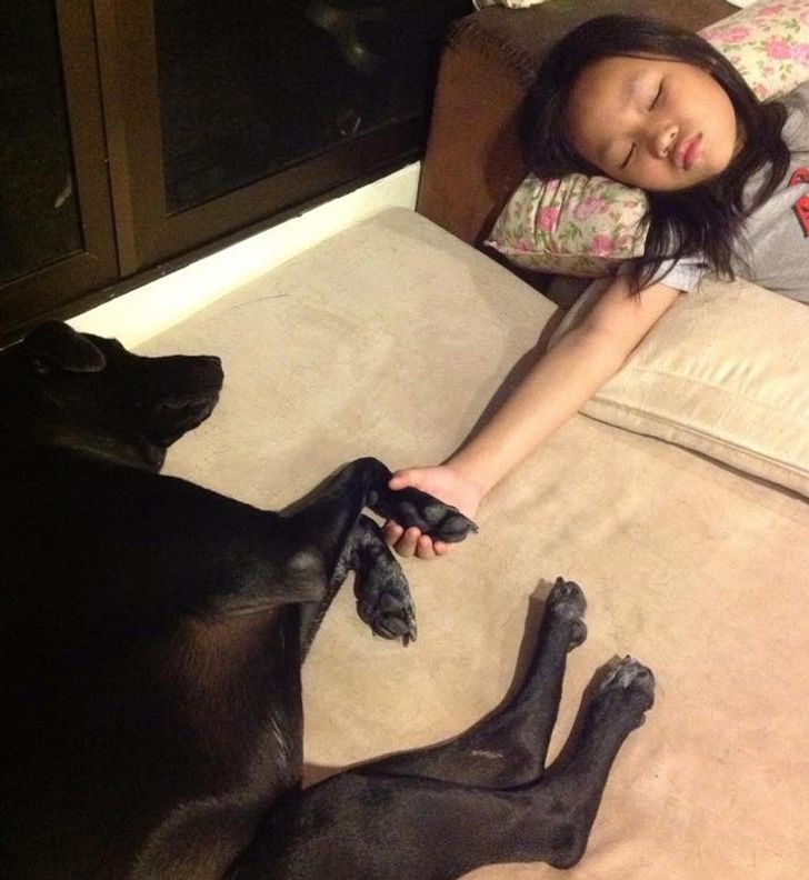 47cb205e5baea2dc5920f9acb7