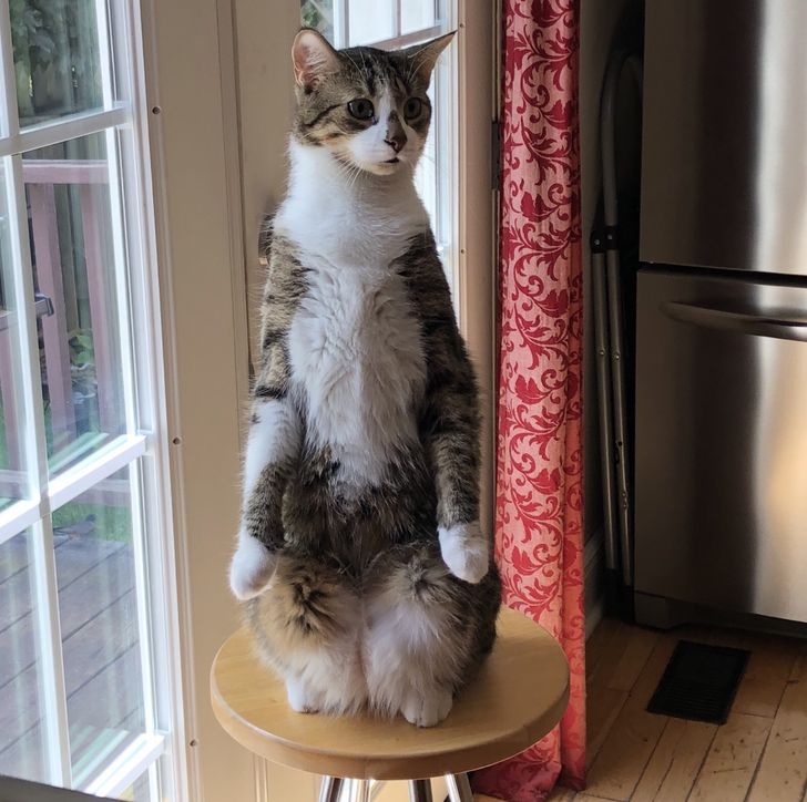 47ed195761892e06d6c5c0d0a9