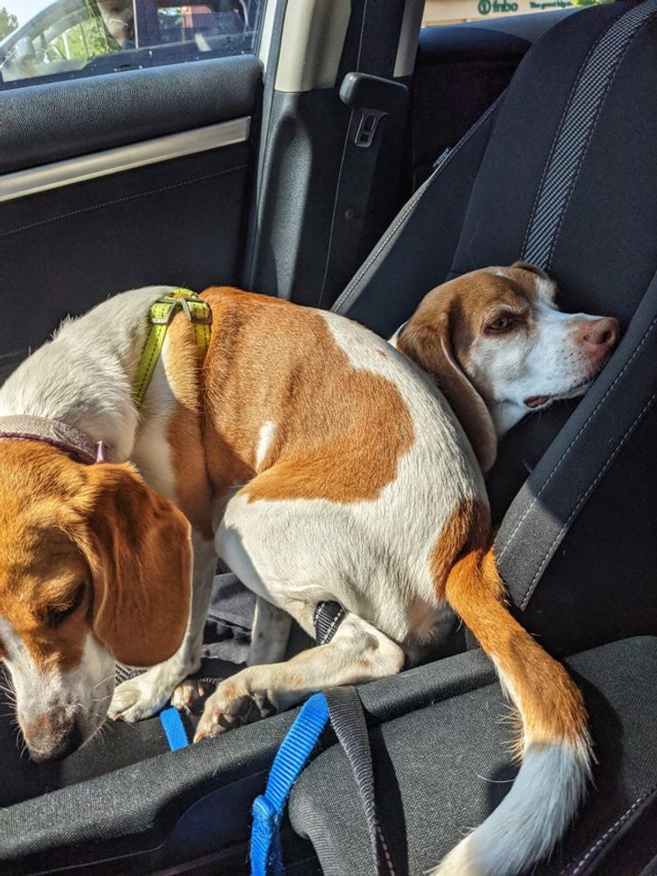 47ed255cc885e1ea0c3272b21b