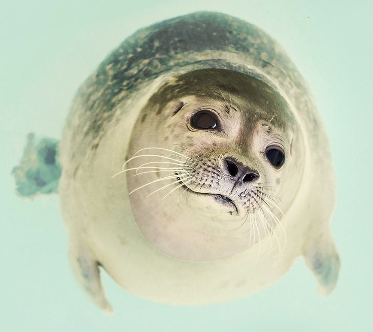 47ed285a3d8f379db12d7d1471