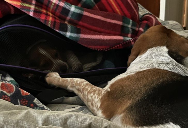 47f3c75687a4705367f8663593