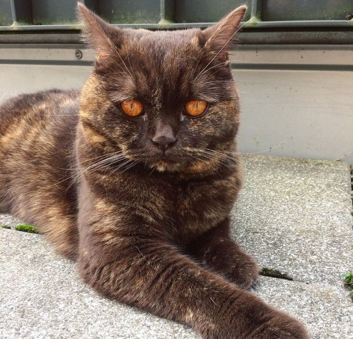 47f4aa5e7a9b63be075ab5804a