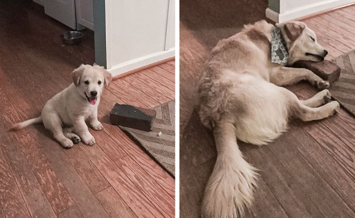 47fa63530c8d53b10fcf68f1c0