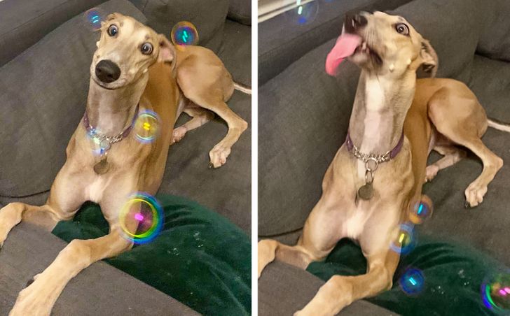 4802c25459ad365c1aa29ce7e0