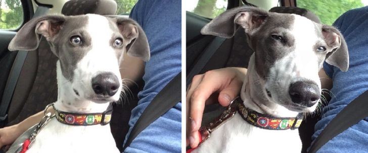 480766517d93223dfedf058a5e