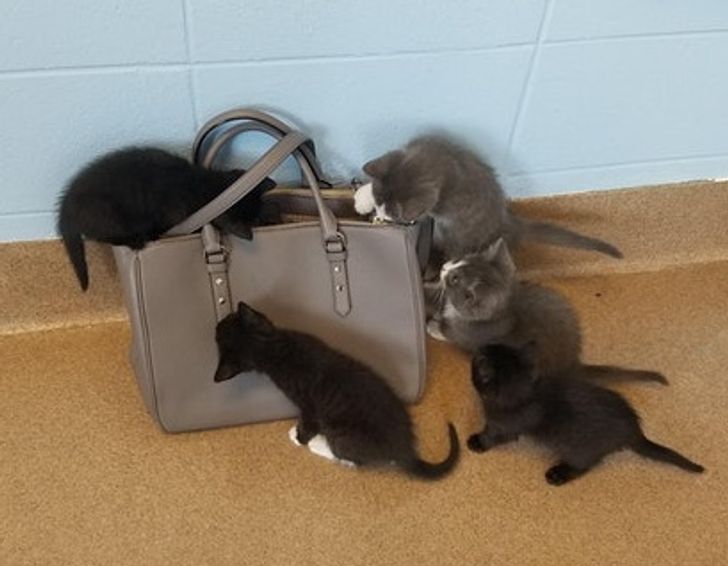 480a2454a6aadb2f26f4fac27d