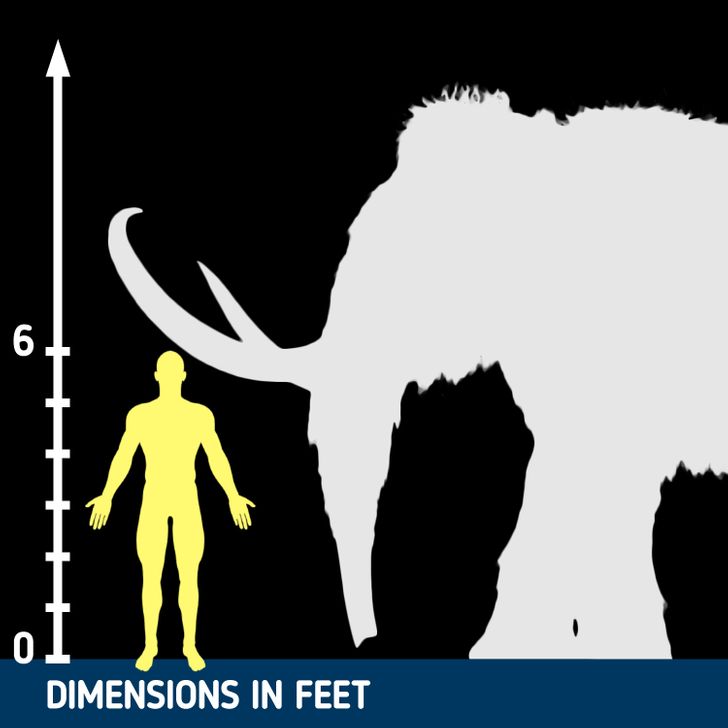 480a2f56668963b158bbf0ddf7