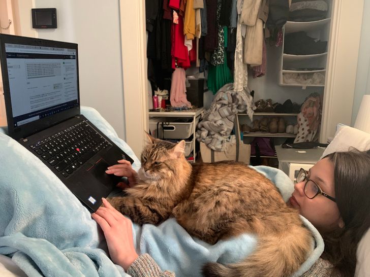 480b445e4da8f57f2e9d3bcbaa