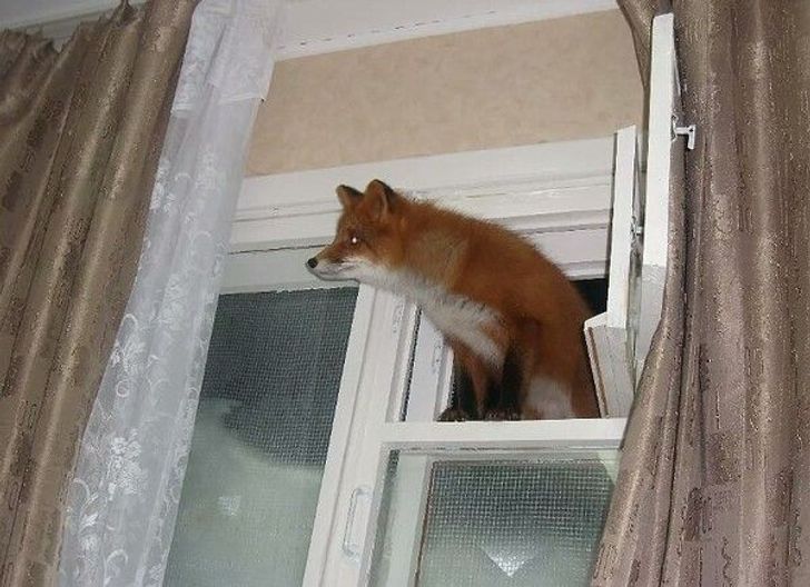 4811eb5a62afcd69946fd2261f