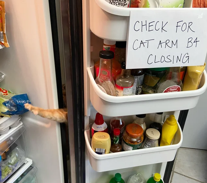 48122c553ca2055109ccd08e13