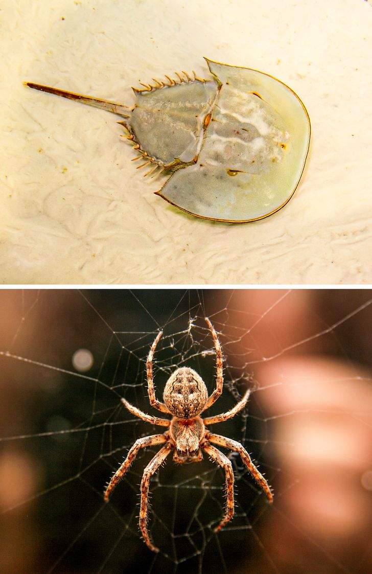 481674596081557b9245d95e9b