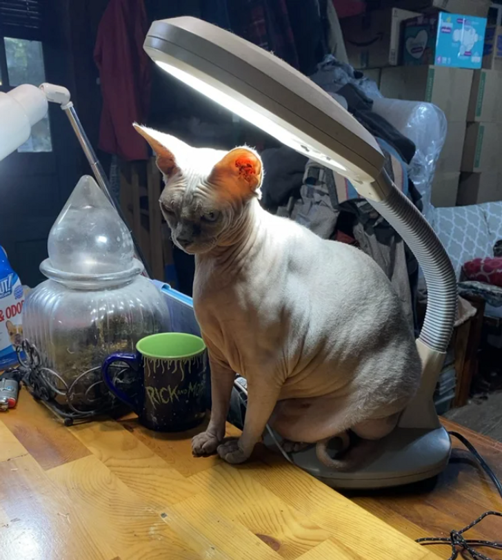 48191b5b25bc8aab0f19b328e5 48191b5b25bc8aab0f19b328e5