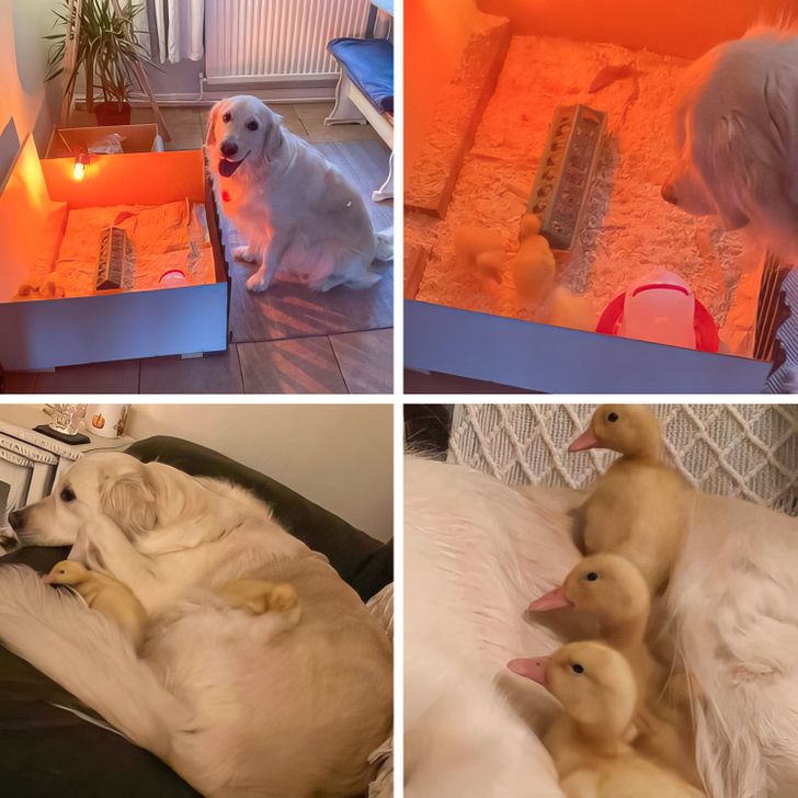 4819c050e19af99551de34f8c2