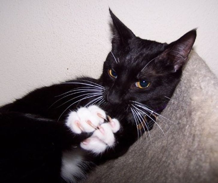 481de75808b7fd83b9ca288c4b 481de75808b7fd83b9ca288c4b